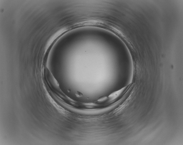 X0000068811426200605051133