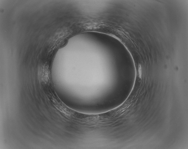 X0000068811444200605051133