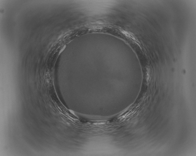 X0000068811445200605051133