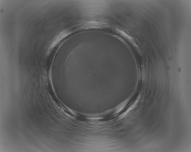 X0000068811453200605051133