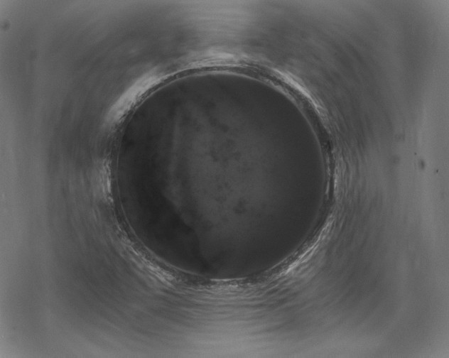 X0000068811455200605051133