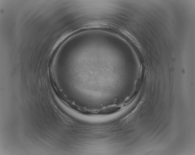 X0000068811465200605051133