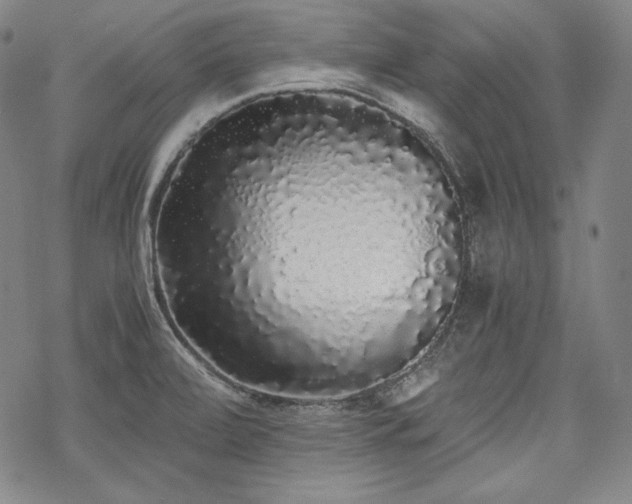 X0000068811472200605051132