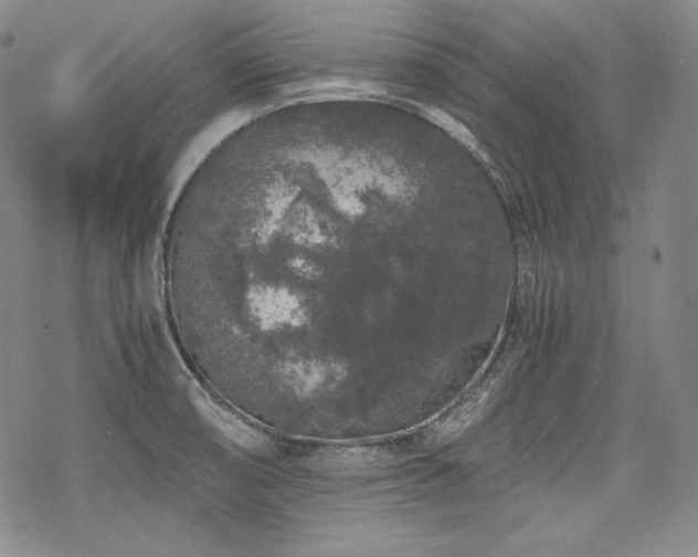 X0000068811474200605051132
