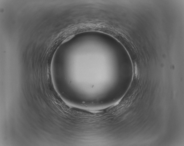 X0000068811492200605051131
