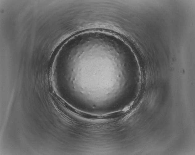 X0000068811505200605051132