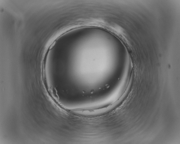 X0000068811520200605051132