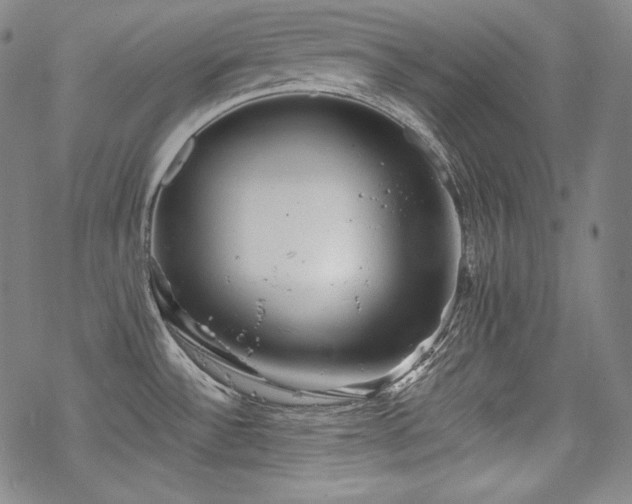 X0000068811532200605051132