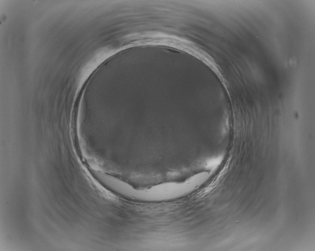 X0000068811533200605051132