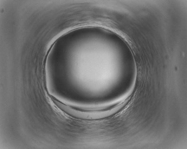 X0000068811534200605051132