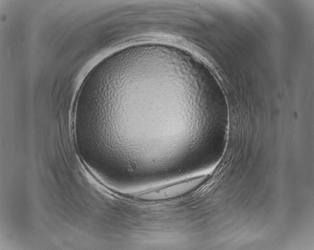 X0000068811535200605051132