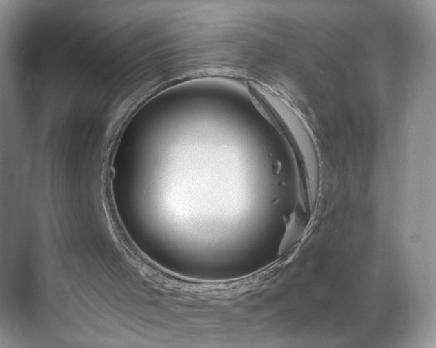 X0000068810001200605081131