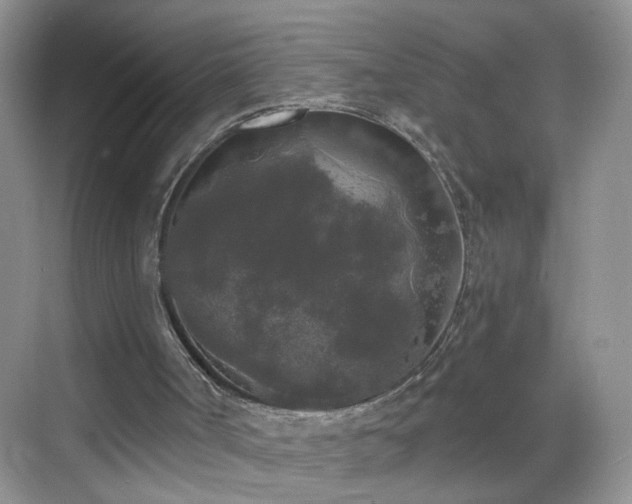 X0000068810002200605081131