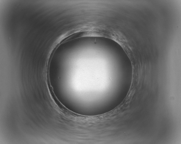 X0000068810003200605081131