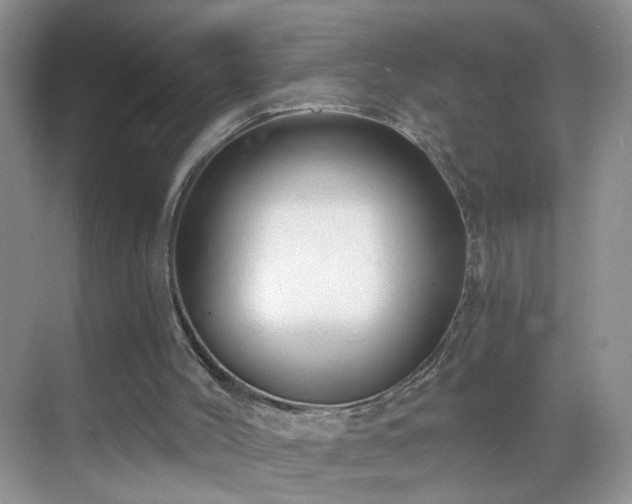 X0000068810004200605081131