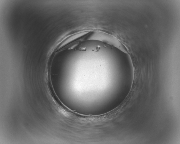 X0000068810005200605081131