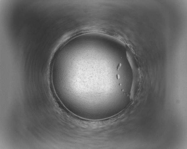 X0000068810006200605081131