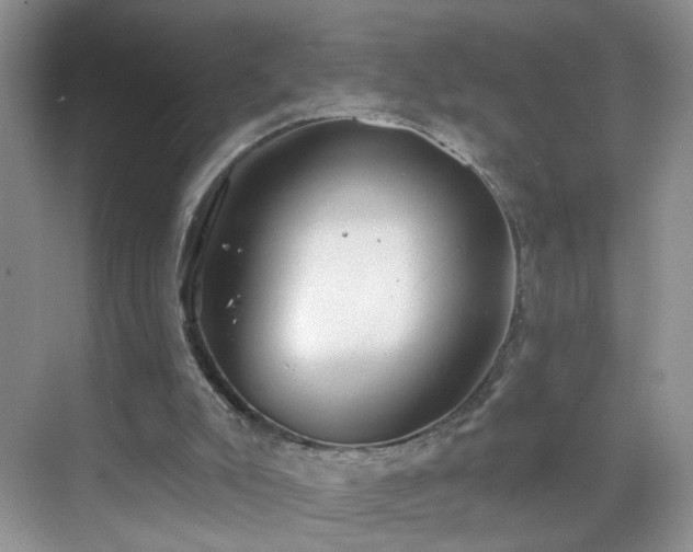 X0000068810007200605081131