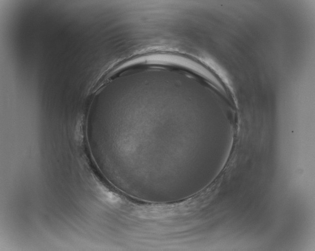 X0000068810009200605081131