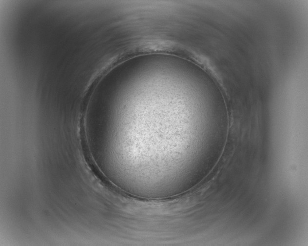 X0000068810010200605081131