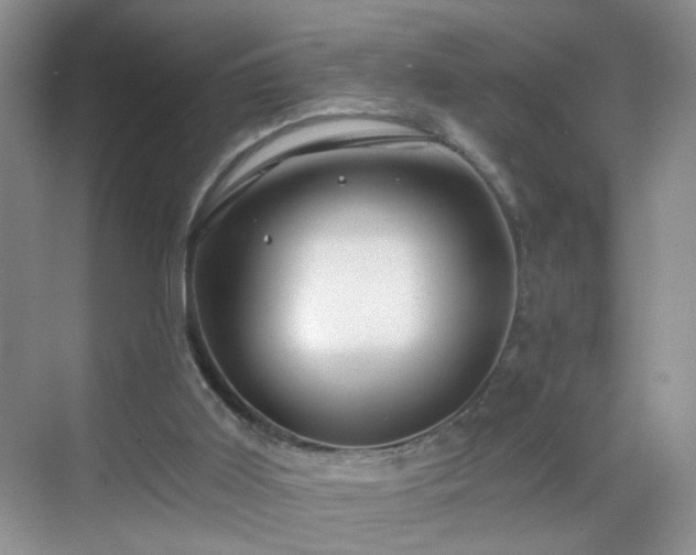 X0000068810011200605081131