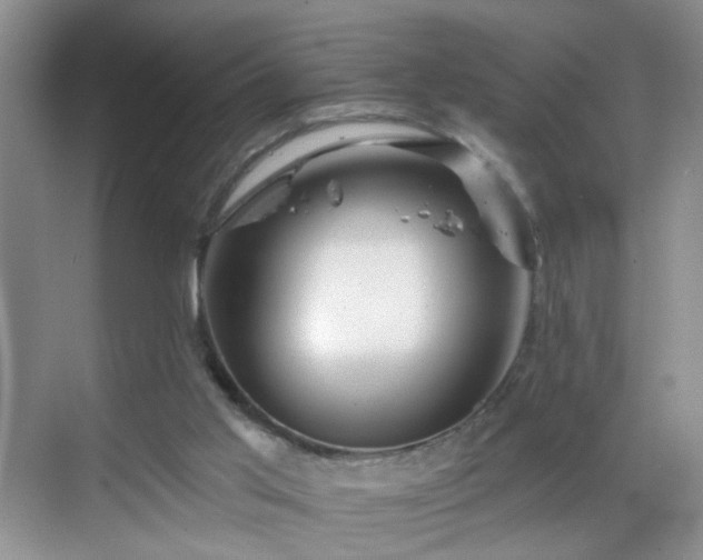 X0000068810013200605081131