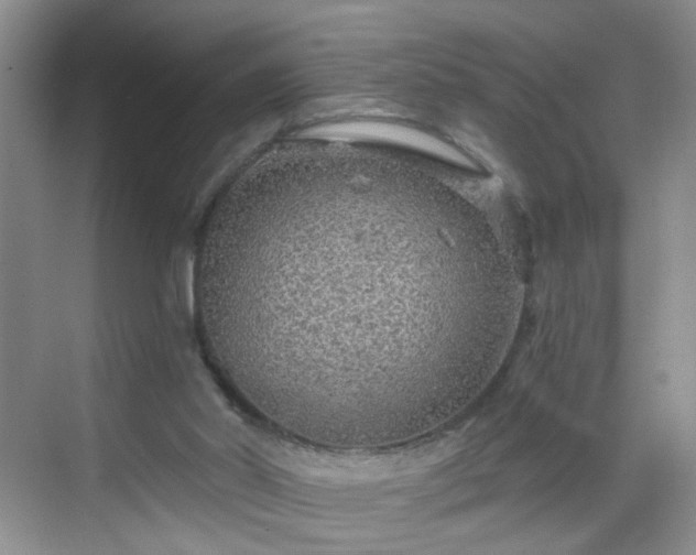 X0000068810014200605081131