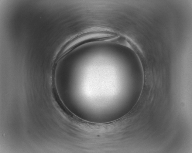 X0000068810015200605081131