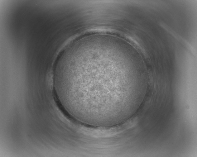 X0000068810016200605081131