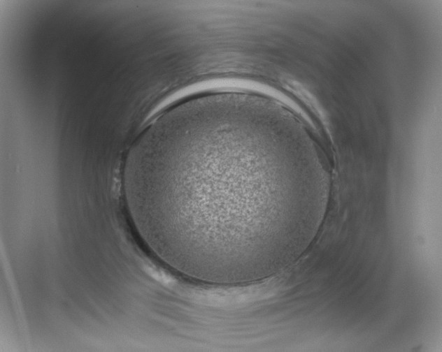 X0000068810017200605081131