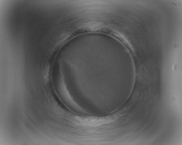 X0000068810018200605081131