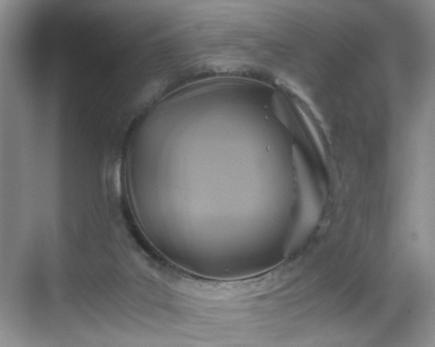 X0000068810019200605081131