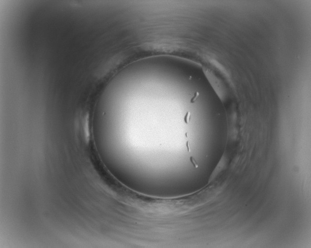 X0000068810020200605081131