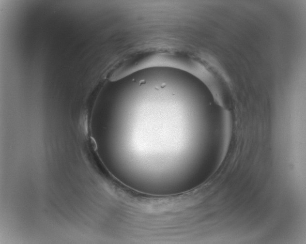 X0000068810021200605081131