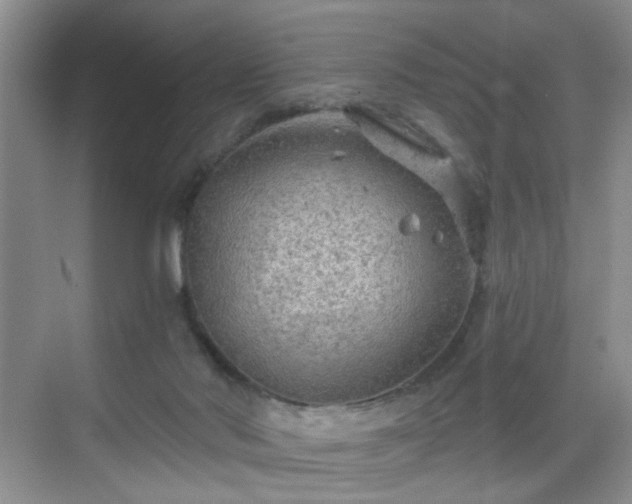 X0000068810022200605081131