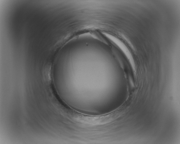 X0000068810023200605081131