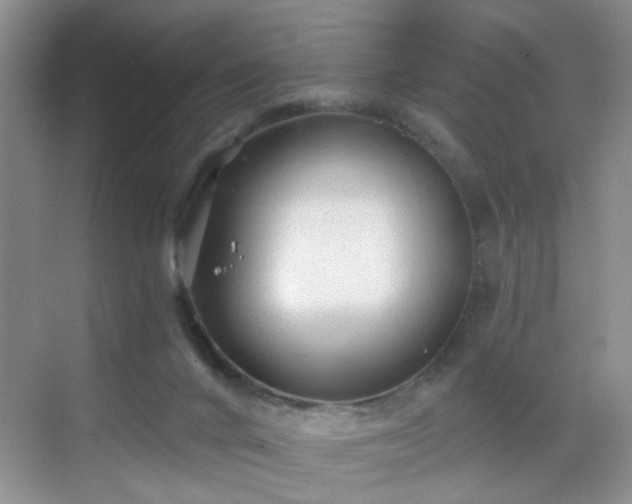 X0000068810024200605081131