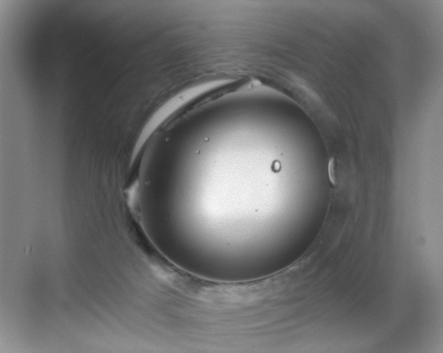 X0000068810025200605081131