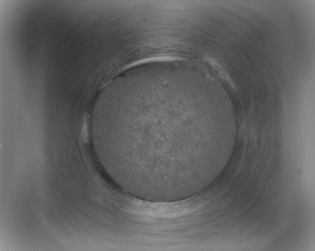 X0000068810026200605081131