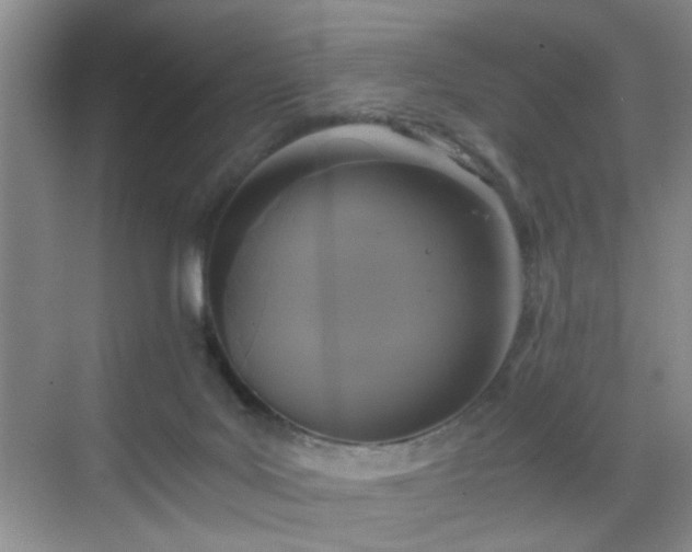 X0000068810027200605081131