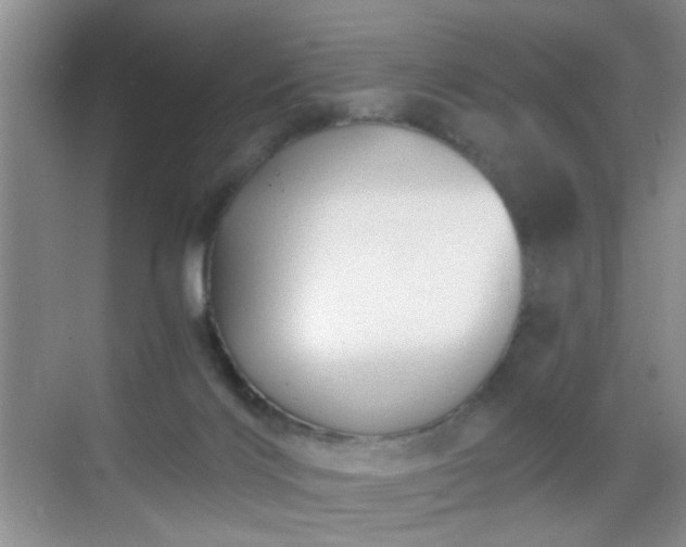 X0000068810028200605081131