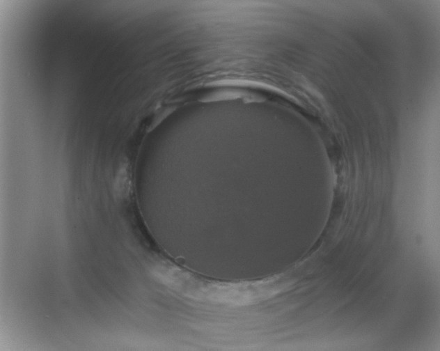 X0000068810029200605081131