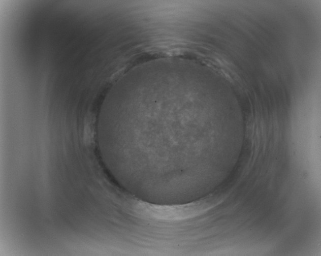 X0000068810030200605081131