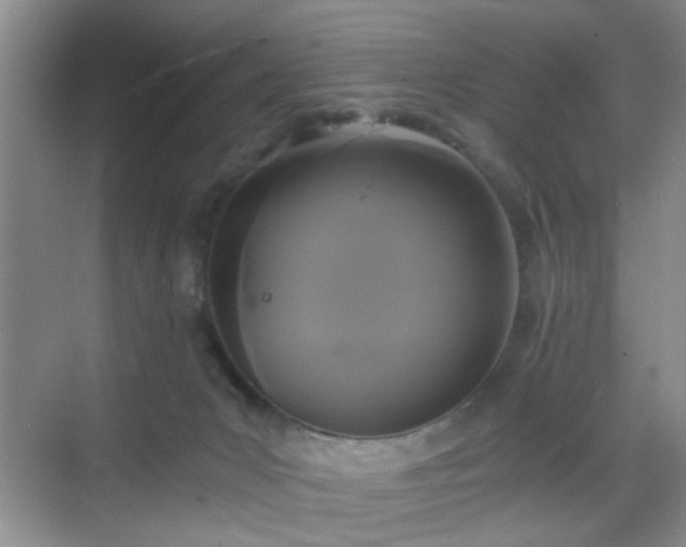 X0000068810031200605081131