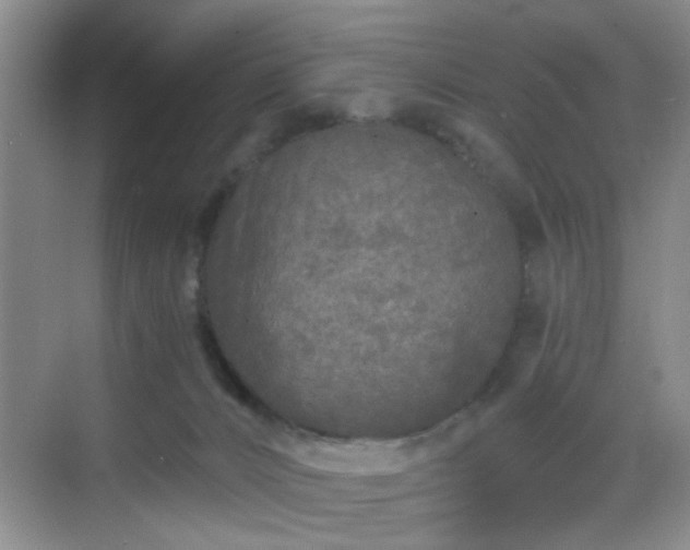 X0000068810032200605081131