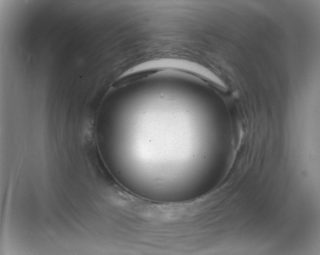 X0000068810033200605081131