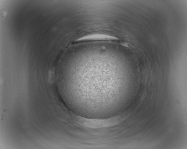 X0000068810034200605081131