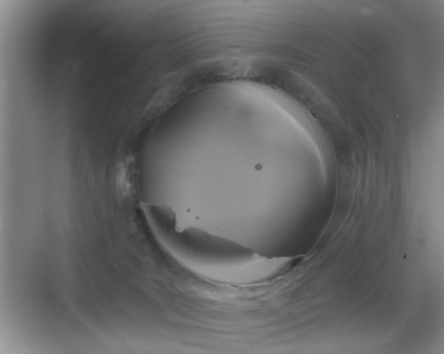 X0000068810035200605081131