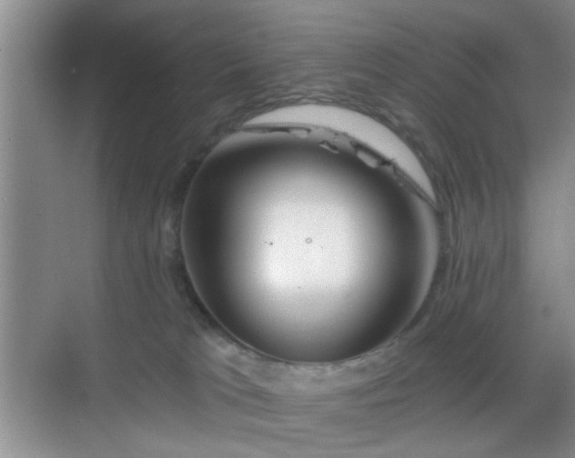 X0000068810037200605081131