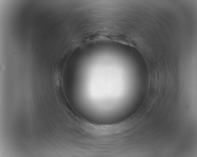 X0000068810038200605081131